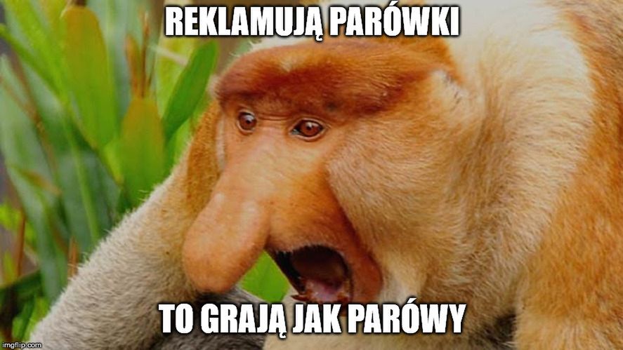 Zdjęcie okładkowe artykułu: 