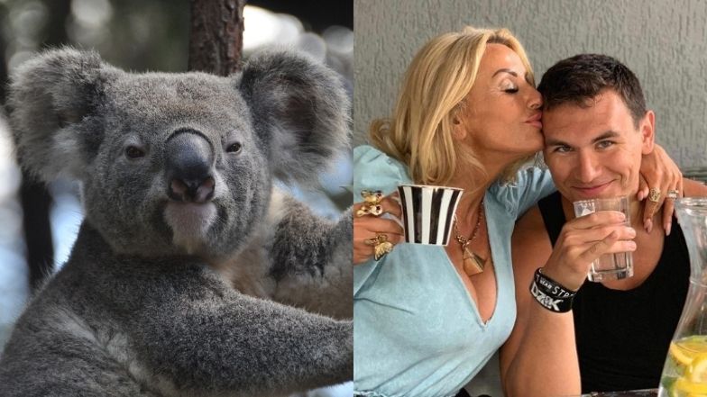 Dagmara Kaźmierska porównuje Conanka do misia koala