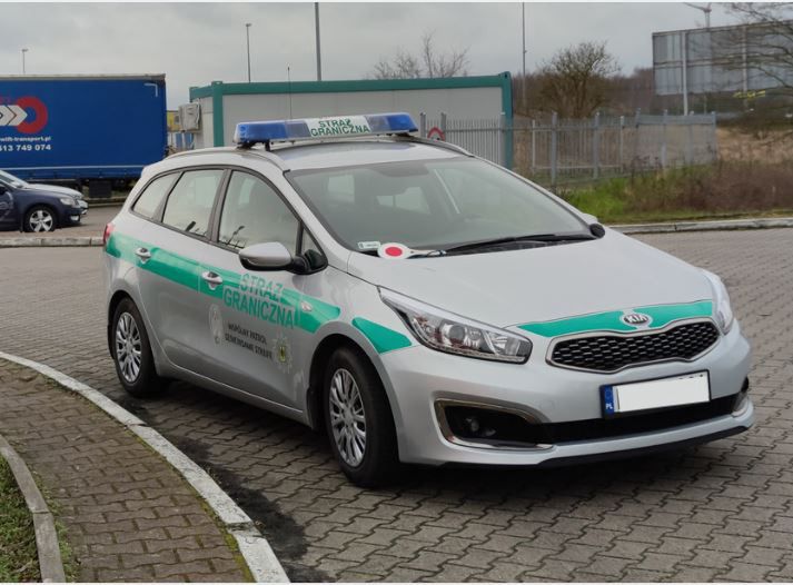 Katowice: Ćwiczenia na lotnisku. Psy wykryły materiały wybuchowe i broń palną
