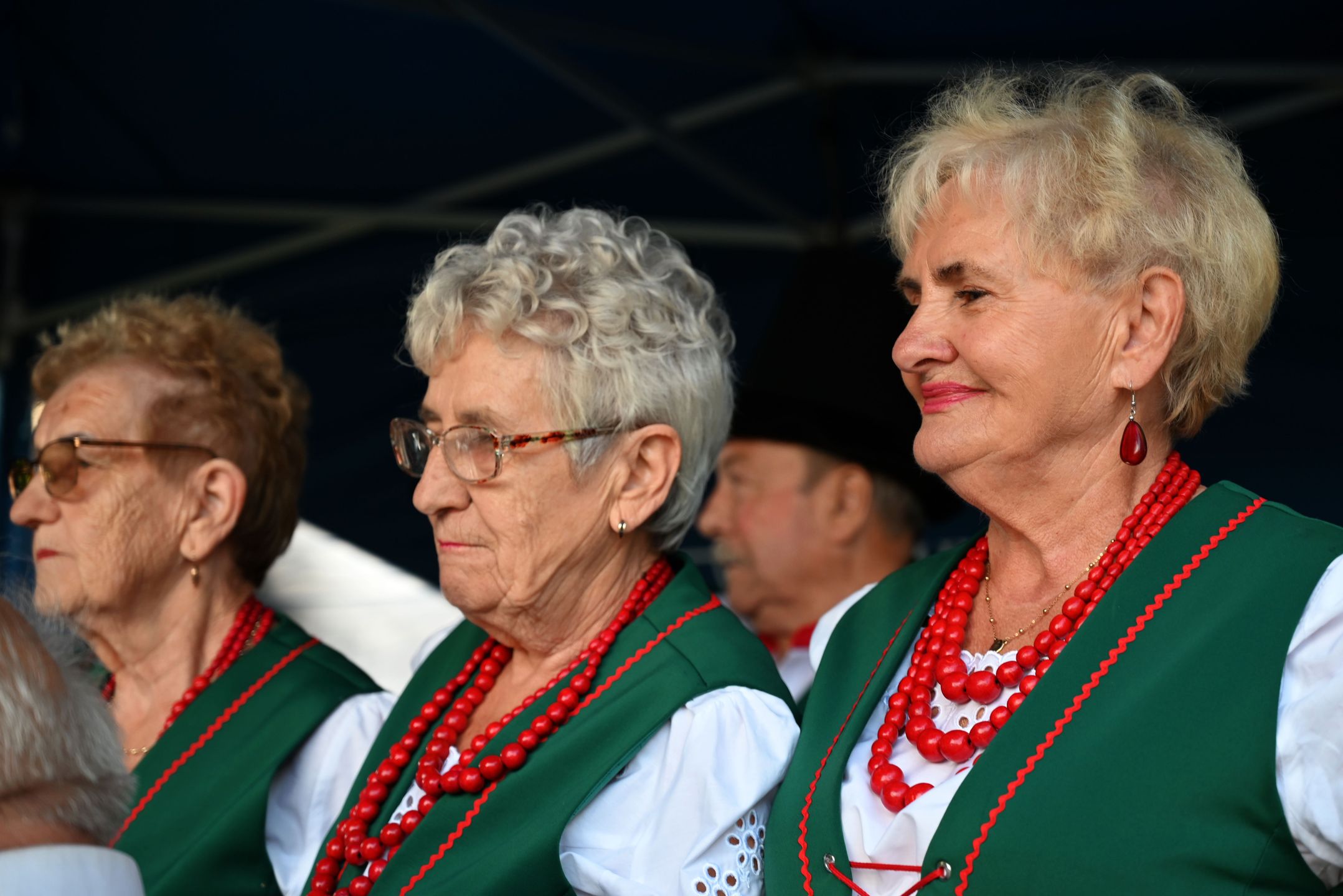 Organizatorem pikniku było Muzeum Ziemi Dobrzyńskiej