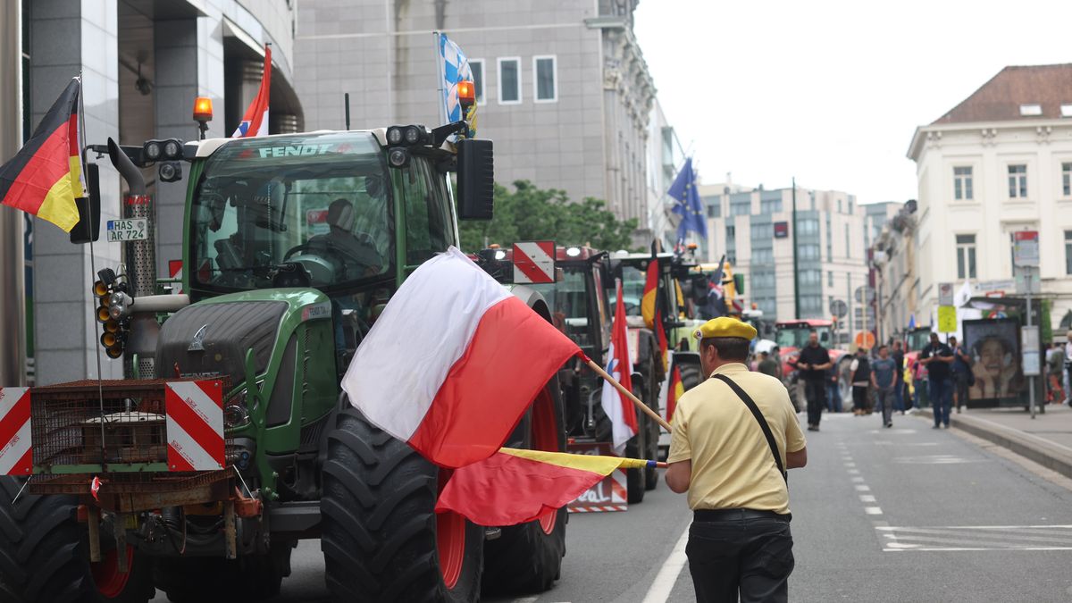 Belgium radical farmers protest ahead of the EU elections
epa11389000 A delegation of farmers mainly from 'Farmers Defence Force' of Netherlands but also from Belgium, Germany and Poland coming from radical groups protest against European green deal in front of European Parliament in  Brussels, Belgium, 04 June 2024. The protest, ahead of the European elections on 09 June, is expected to be attended by hard-line farming associations and groups affiliated with the far-right.  EPA/OLIVIER HOSLET 
Dostawca: PAP/EPA.
OLIVIER HOSLET