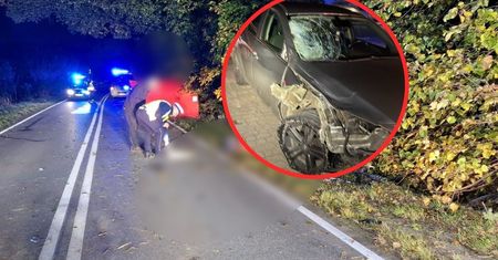 Zabił dziecko w Polsce. Wiemy, co zrobił wcześniej w Dani