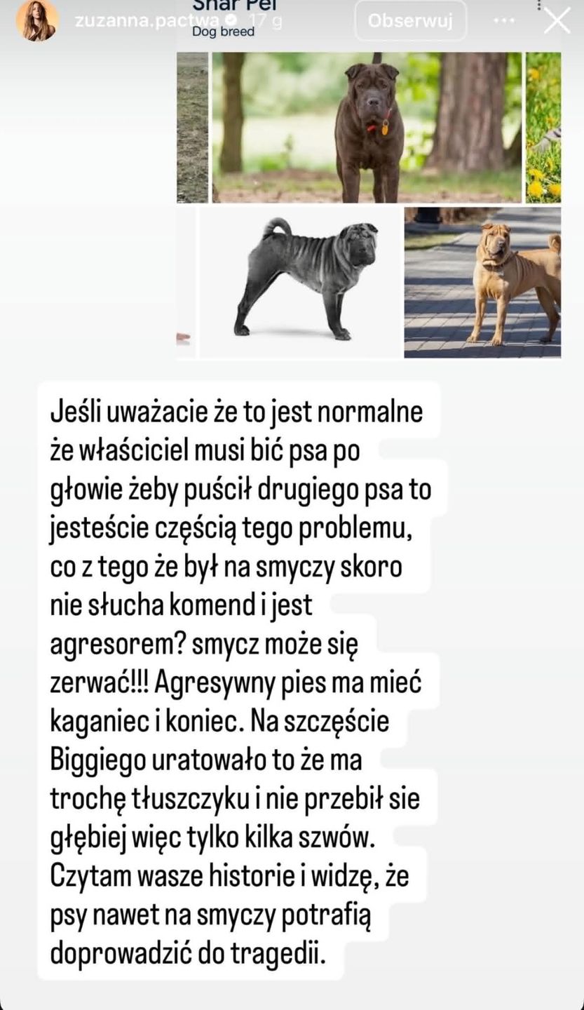 Zuzanna Pactwa miała do czynienia z agresywnym psem