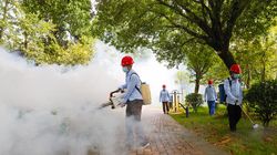 Ponad 9 tys. przypadków. Epidemia wirusa chikungunya w Chinach
