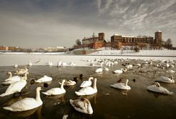 Zimowe atrakcje Krakowa