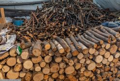 Aktualne ceny opału w nadleśnictwach. Tyle kosztuje metr drewna w listopadzie