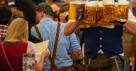 Tyle kosztuje piwo na Oktoberfest. Ta cena zwala z nóg!