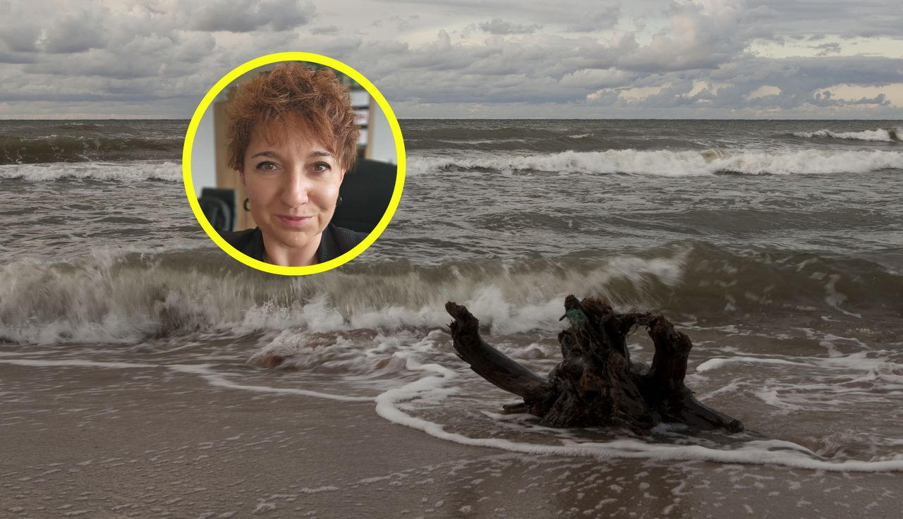 Odkrycie na dnie Bałtyku. Nowe skarby? "Jest to możliwe"