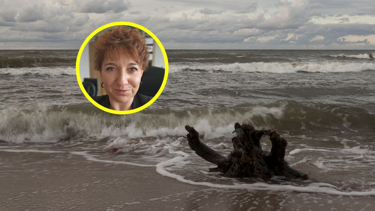 Ekspertka mówi o odkryciu na dnie Bałtyku.