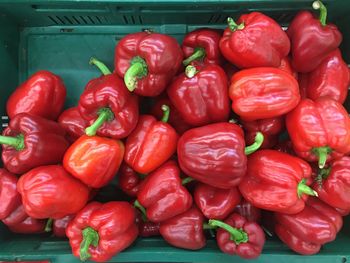 Producenci papryki alarmują. Mają podejrzenia fałszowania pochodzenia