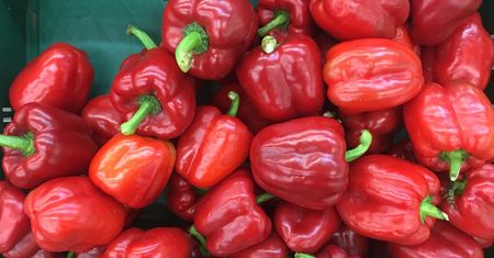 Producenci papryki alarmują. Mają podejrzenia fałszowania pochodzenia