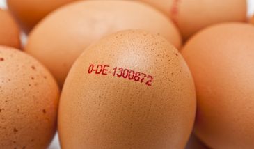 Groźne baterie na skorupkach jaj z Biedronki. GiS ostrzega