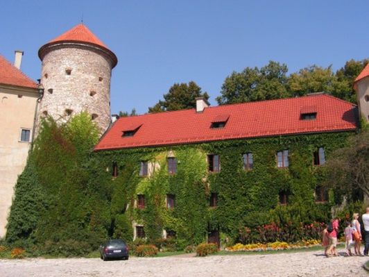 Obraz