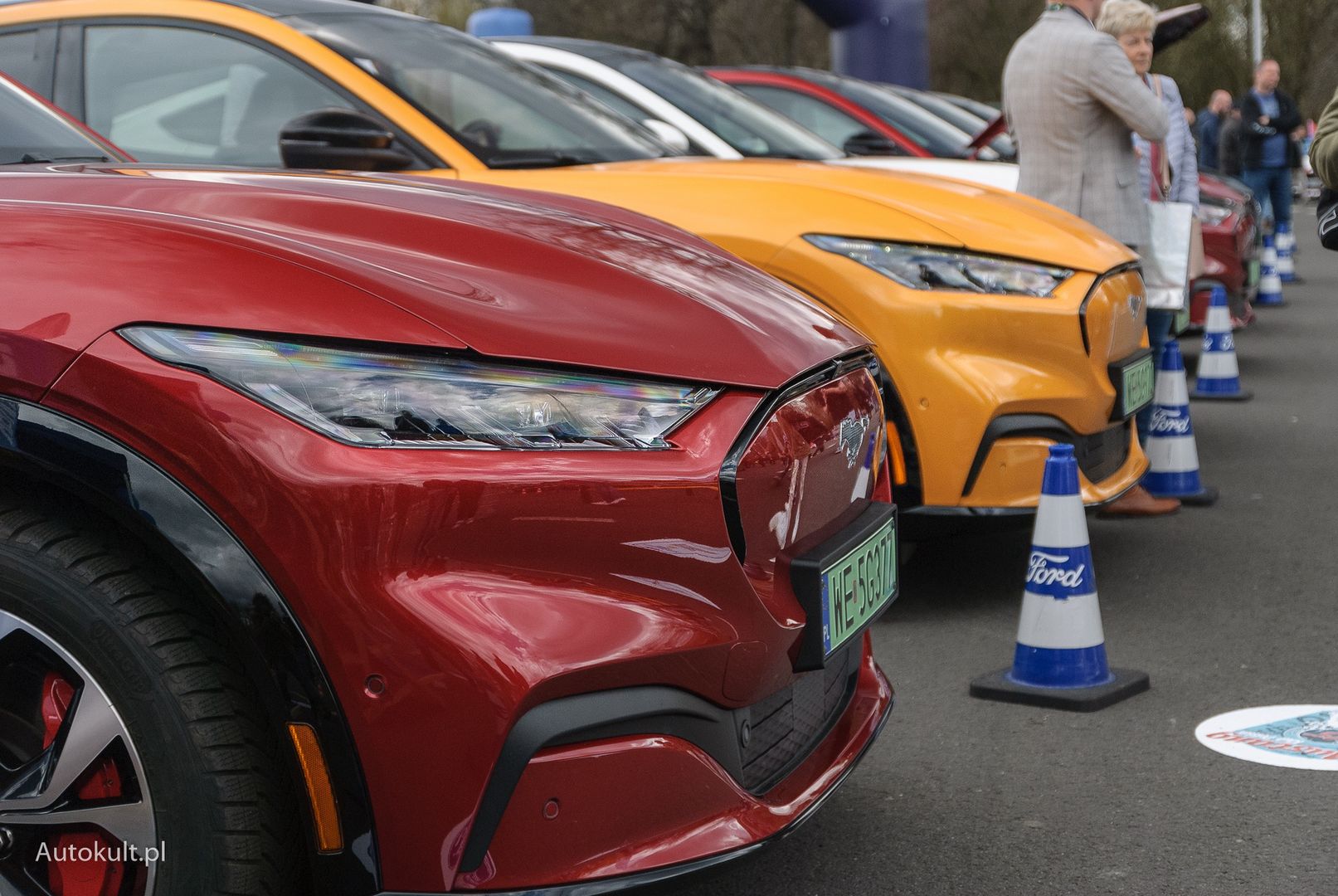 XV Ogólnopolski Zlot Mustangów