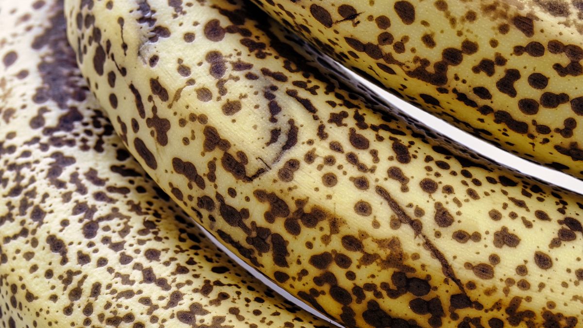 Dlaczego warto jeść banany?