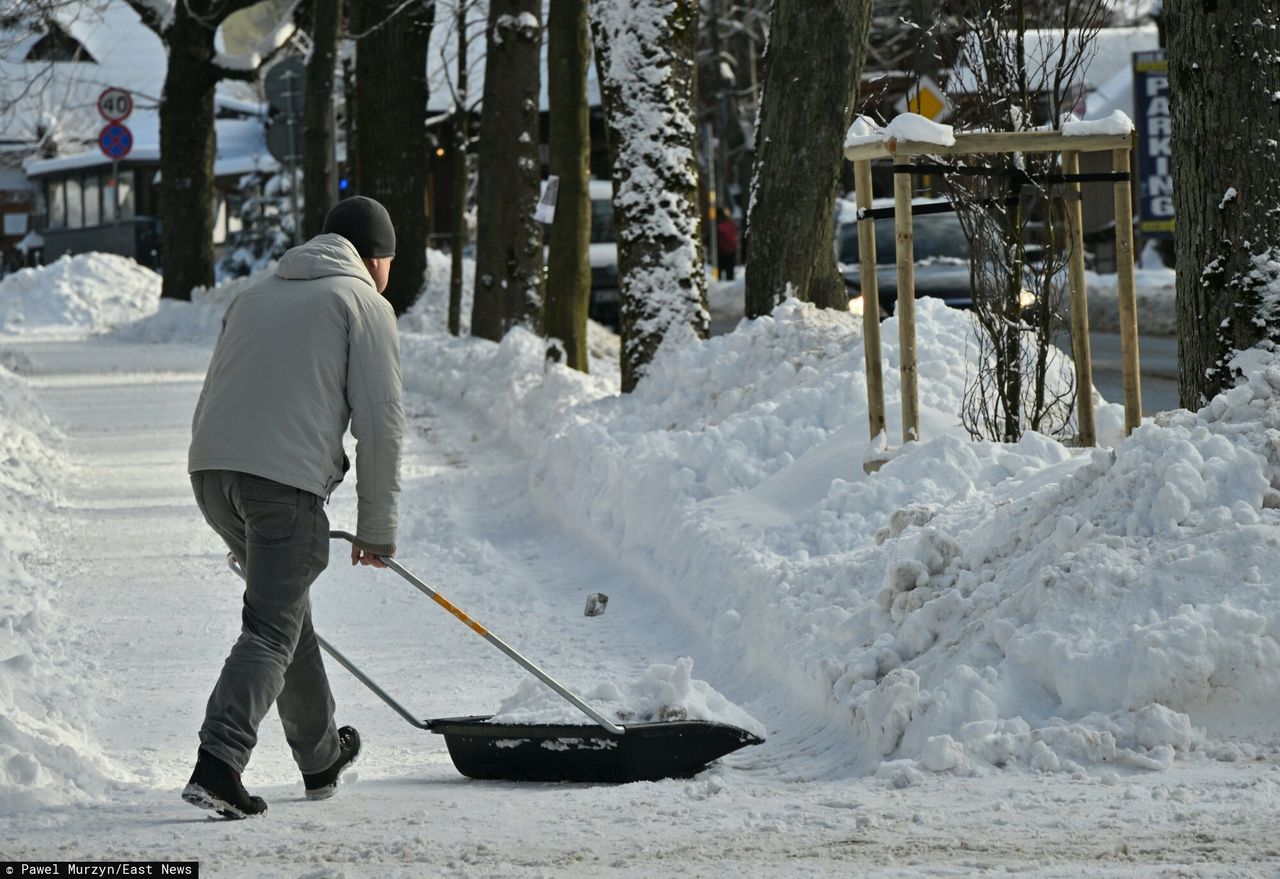 Forsy jak lodu. Tyle można zarobić na odśnieżaniu