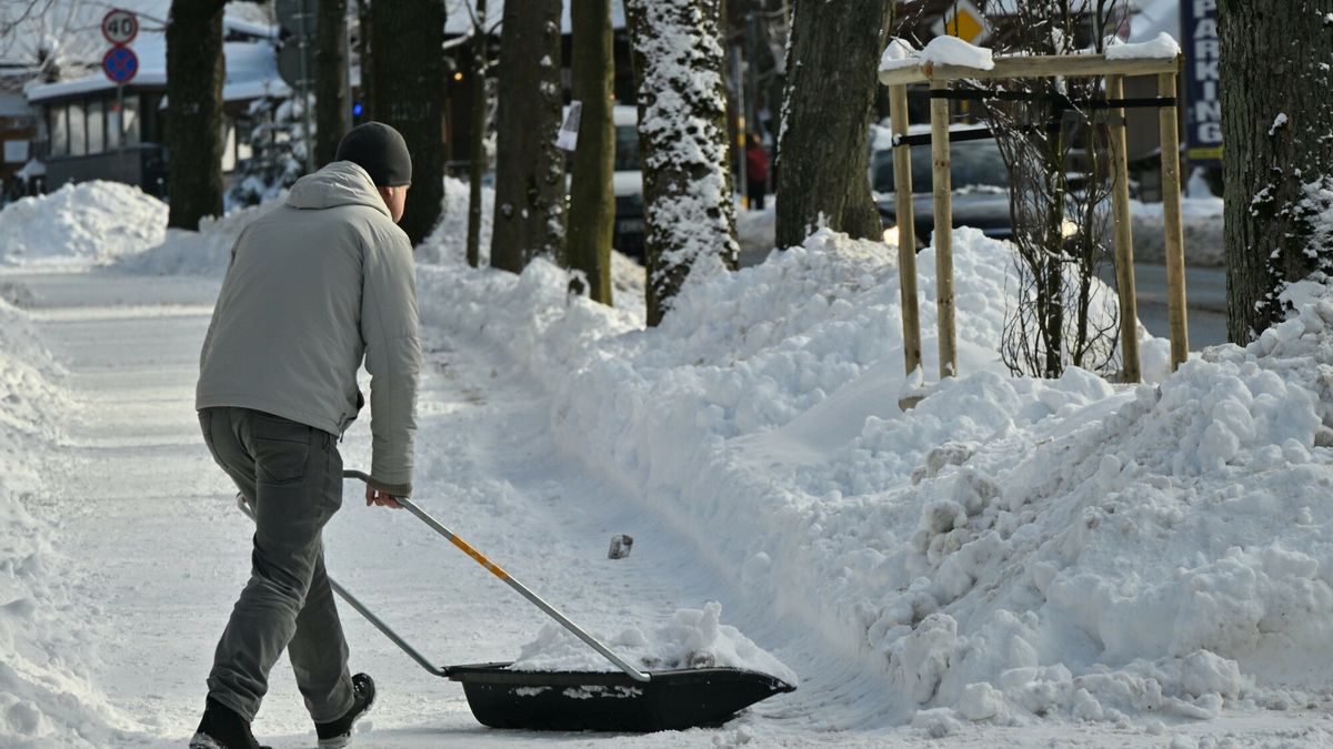 Ile można zarobić na odśnieżaniu?