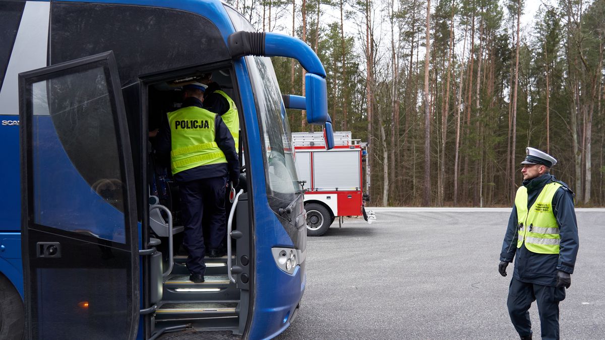 W autokarze tylko połowa miejsc może być zajęta. W busie - wszystkie. 