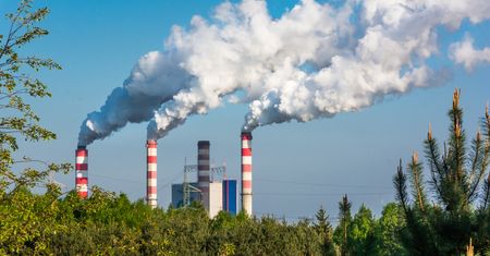 B. minister finansów: rząd nie ma pomysłu na politykę klimatyczną. "Lobby węglowe jest górą"