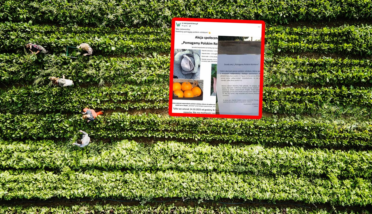 Tylko 1 zł. "To nie jest handel". Kupił je prosto od rolnika