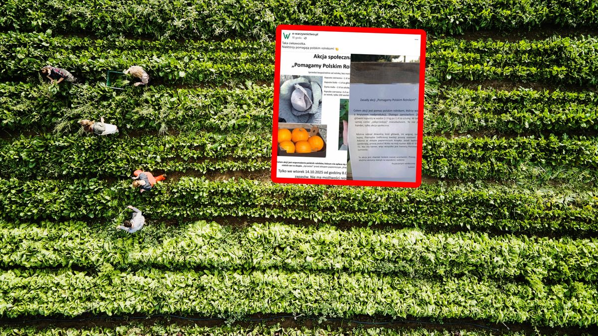 Warzywa za grosze w Krakowie.