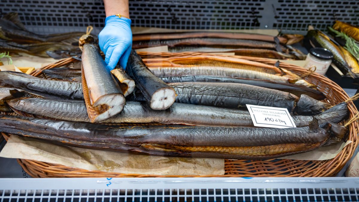 Targi Smaki Region�w
Pozna�, 26.09.2025. Targi Smaki Region�w, 26 bm. na terenie Mi�dzynarodowych Targ�w Pozna�skich w Poznaniu. Jest to jedno z najwa�niejszych wydarze� promuj�cych regionalne produkty z ca�ej Polski. (sko) PAP/Jakub Kaczmarczyk
Jakub Kaczmarczyk
jedzenia, jedzenie, produkty spozywcze, region, regionalne produkty, regiony, ryba ryby, smak, Smaki Region�w, spo�ywka, targ, targi, Targi Smaki Region�w, targ�w, wyroby, ilustracja ilustracje ilustracyjne