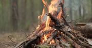 Wejherowo: Nielegalne ogniska w lasach i pożar ściółki. Do akcji ruszyli strażacy
