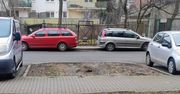 Warszawa: Mieszkańcy chcieli miejsc parkingowych. Dostaną drzewo
