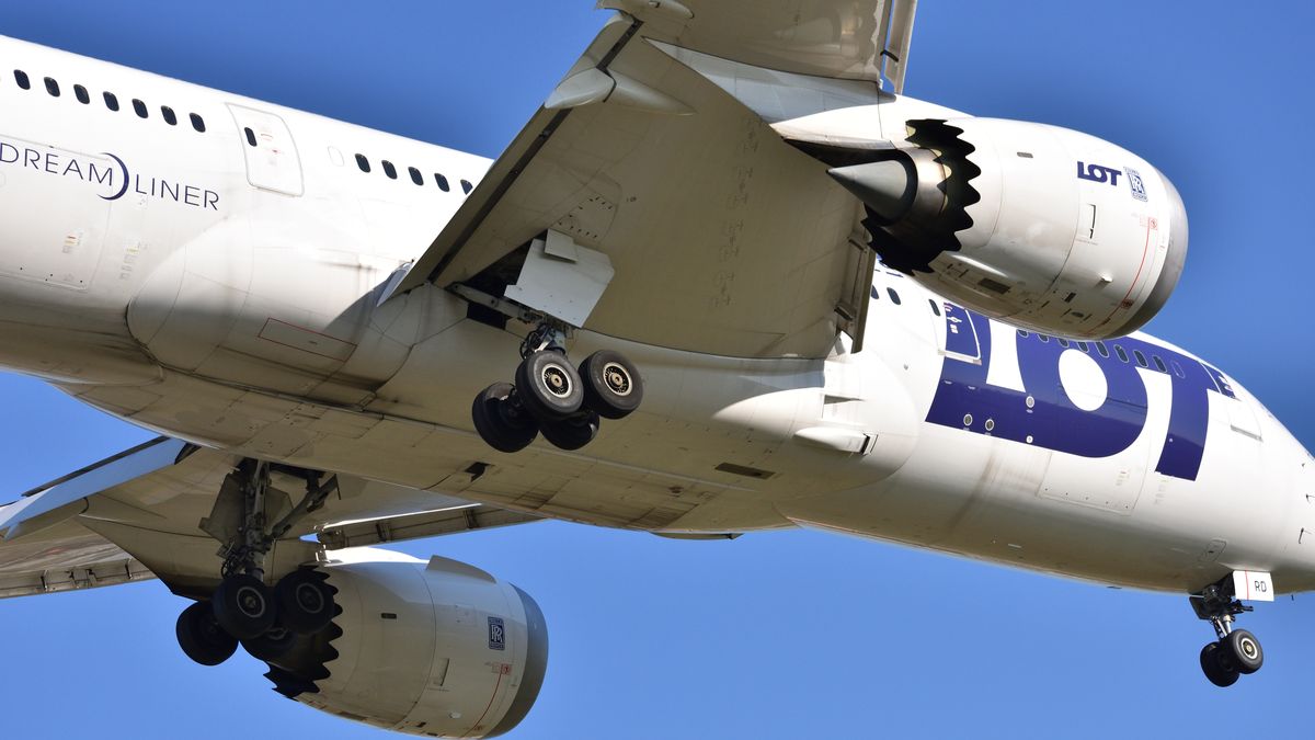 Koszmarne zachowanie pasażera w dreamlinerze 