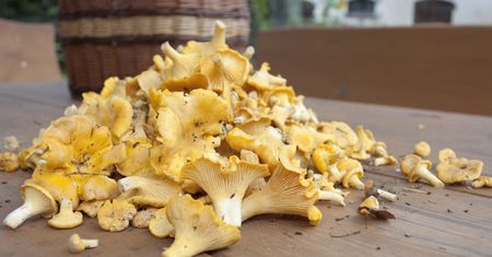 Jak oczyścić kurki z piasku? Prosty trik