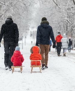 Śniegu w tym roku nie będzie? Ekspert z IMGW nie pozostawia złudzeń