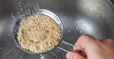 Matka wszystkich zbóż. Nie ma zdrowszej rośliny