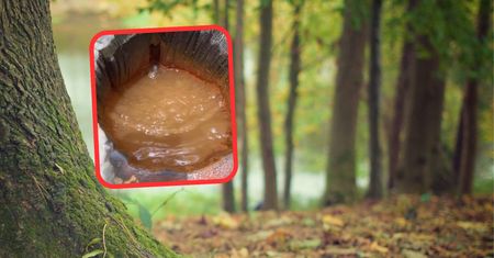 Dziwne zjawisko w Małopolsce. Dusi zwierzęta i powoduje omdlenia
