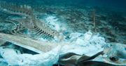 7 km pod powierzchnią Oceanu Indyjskiego. Sensacyjne odkrycie w głębinie