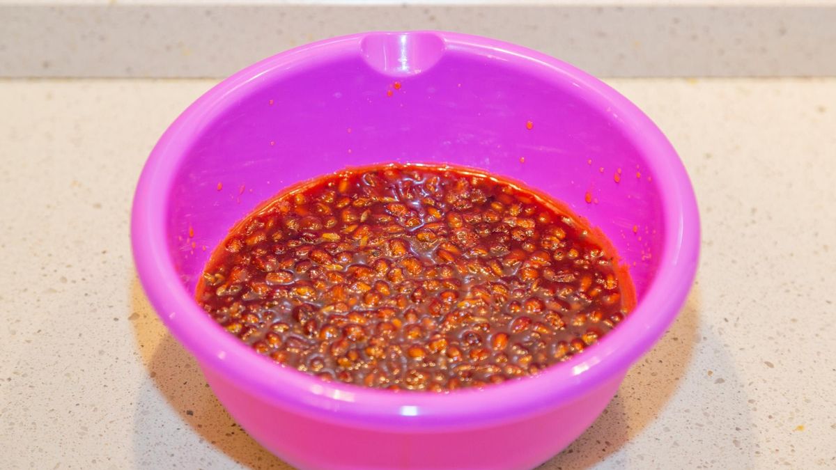 Z jagód rokitnika można robić konfitury, dżemy, soki i nalewki