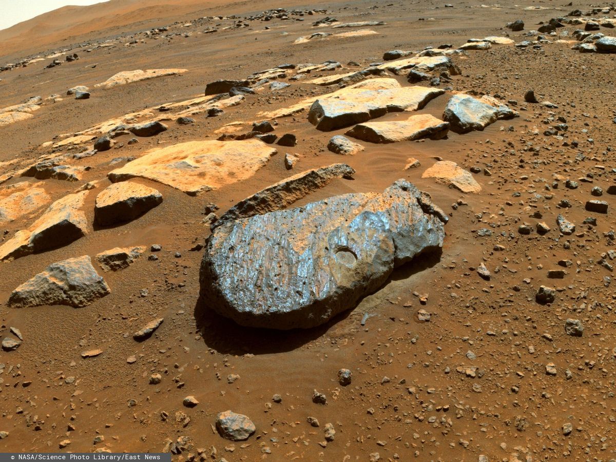 Zdjęcie z łazika Perseverance przedstawiające marsjańską skałę