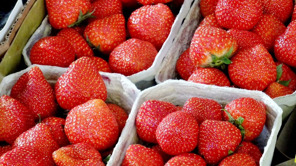 Sprzedawał "polskie" truskawki, ale te pochodziły aż z Grecji