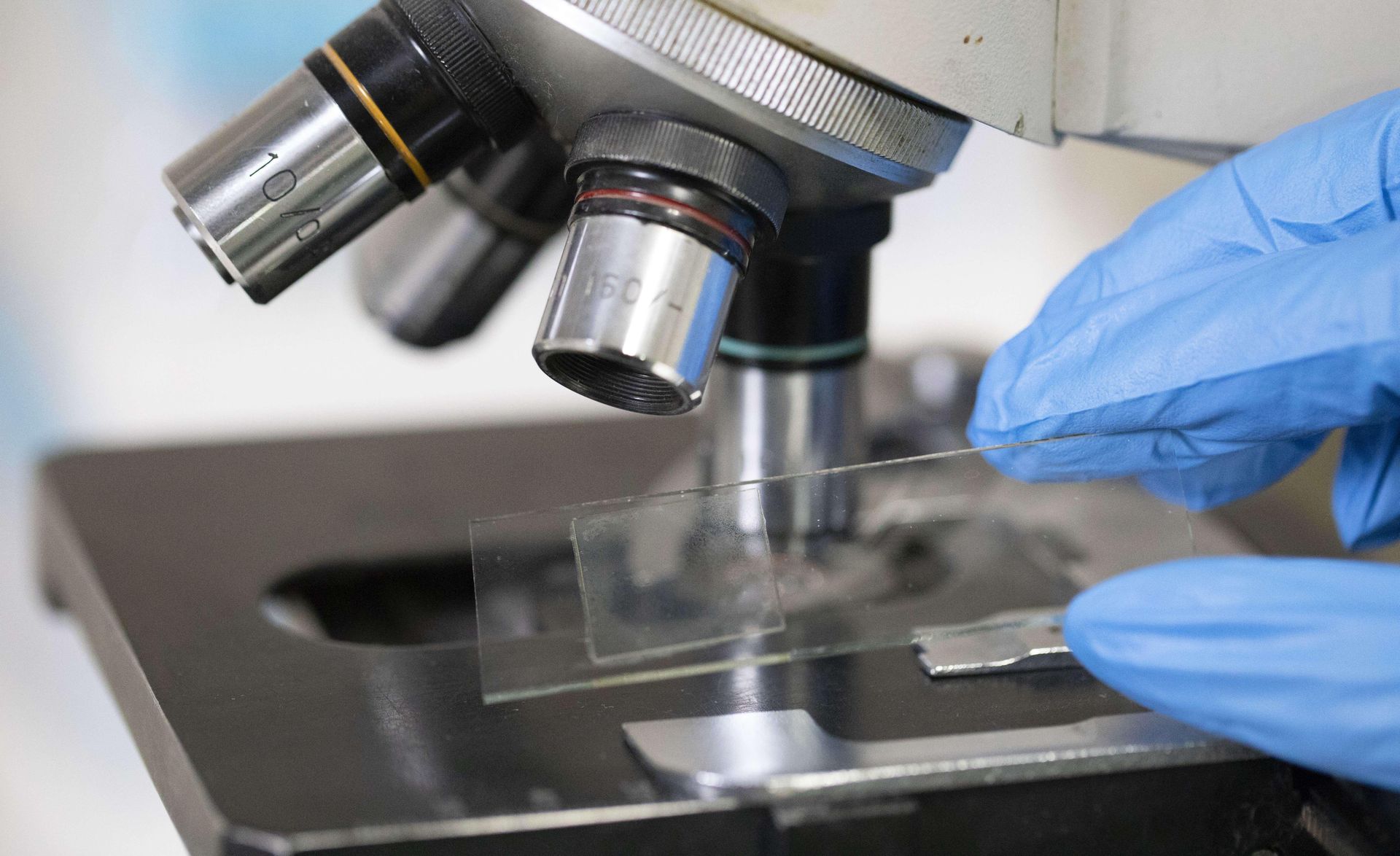 wiadomości,aktualności,WP Wiadomości Nie będzie rosyjskiej viagry. Klęska projektu badawczego