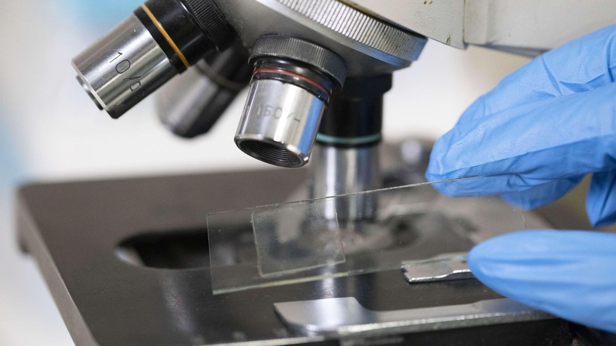 Hospital Supplies & Equipment
ANKARA, TURKEY - JULY 20 : A medical staff holds a microscope slide near a microscope at a hospital in Ankara, Turkey on July 20, 2018. Aytug Can Sencar / Anadolu Agency 
Dostawca: PAP/Abaca
AA/ABACA
ilustracja, medycyna, s�u�ba zdrowia, zdrowie, badanie pod mikroskopem, mikroskop