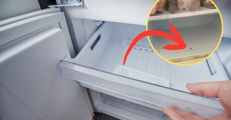 Jest w niemal każdym zamrażalniku, a mało kto wie, do czego służy. Przydaje się co kilka miesięcy