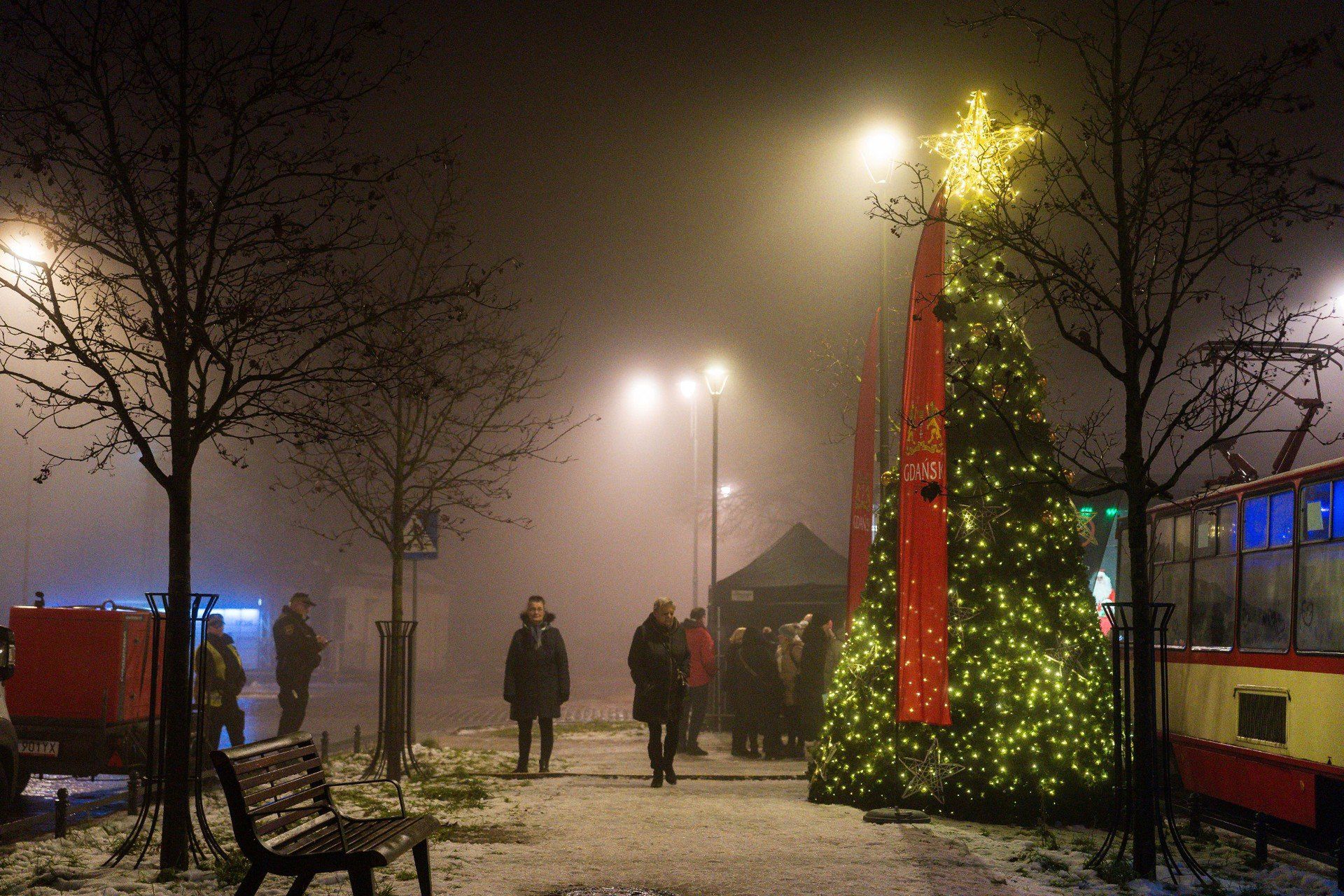 Choinka na Dolnym Mieście i Nowym Porcie