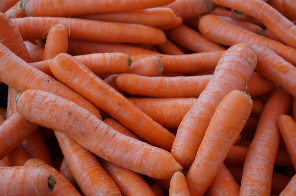 Aktualne ceny krajowej marchwi na rynkach hurtowych wynoszą od 1,10 do 2,50 zł/kg.