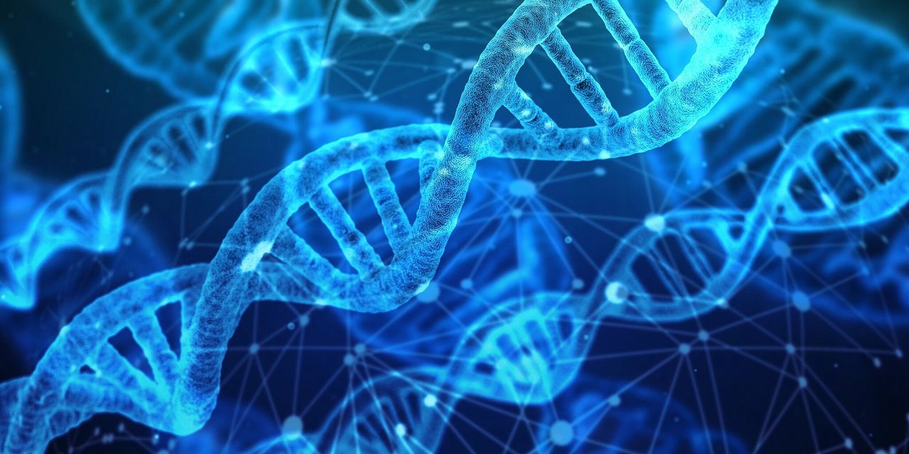 Podstawy genetyki. Tak DNA pokazuje przodków i pochodzenie