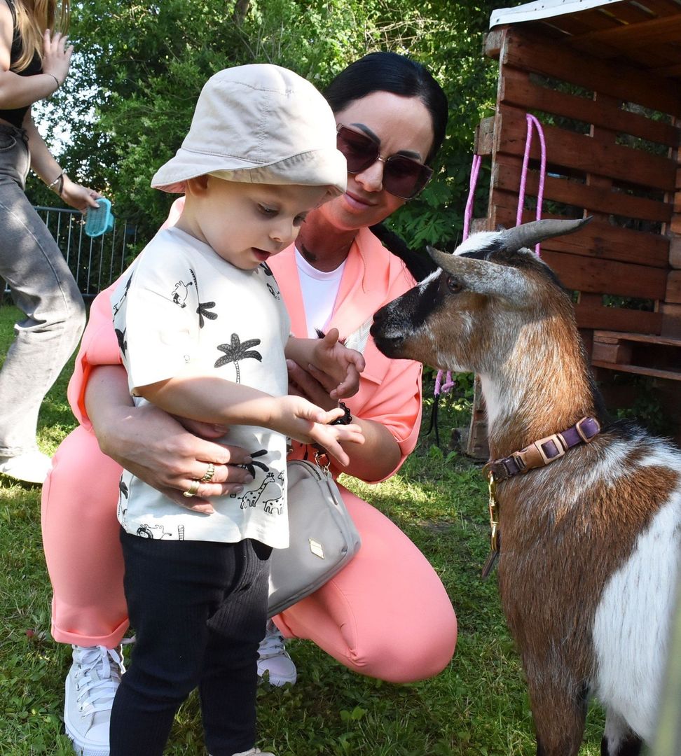 VIII Festyn na rzecz Reksa w Malborku