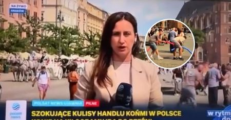 Zaskakujące widoki w Polsat News. Drugi plan skradł uwagę widzów