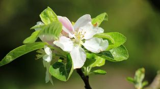 Za chwilę uderzy lato, ale wcześniej nawet -5 stopni