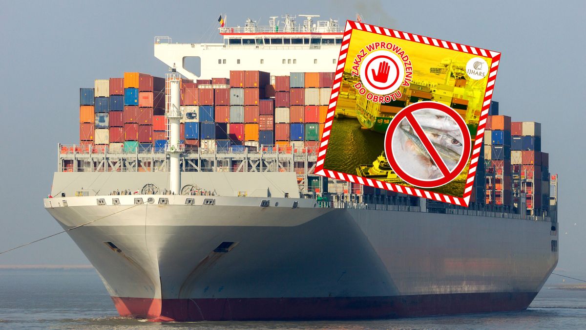 Służby zatrzymały 140 ton makreli mrożonej z Norwegii