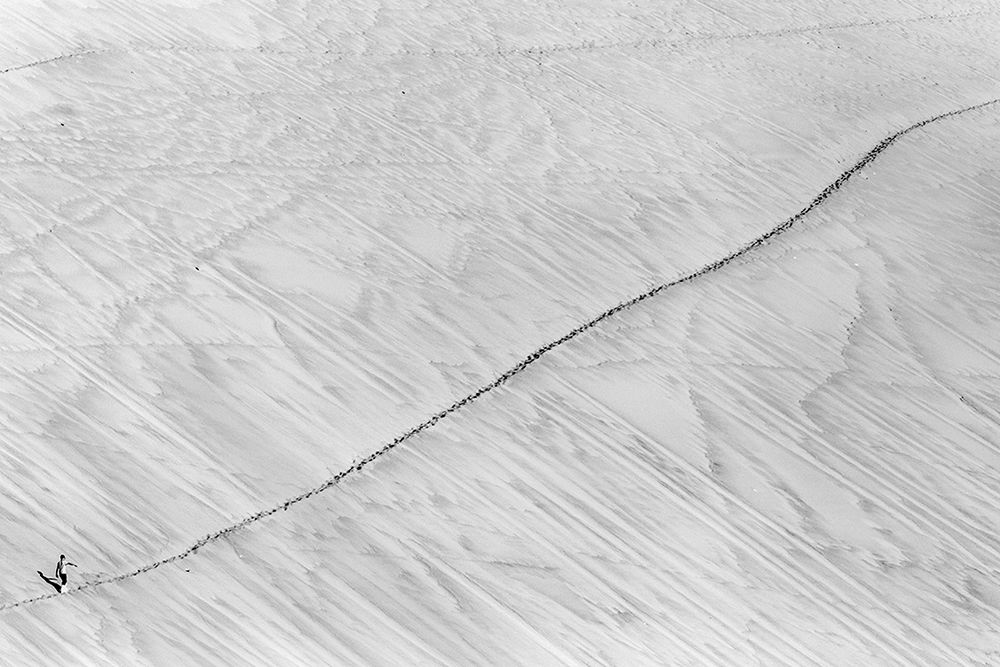Grono Polaków wśród nagrodzonych w konkursie Fine Art Photography Awards 10