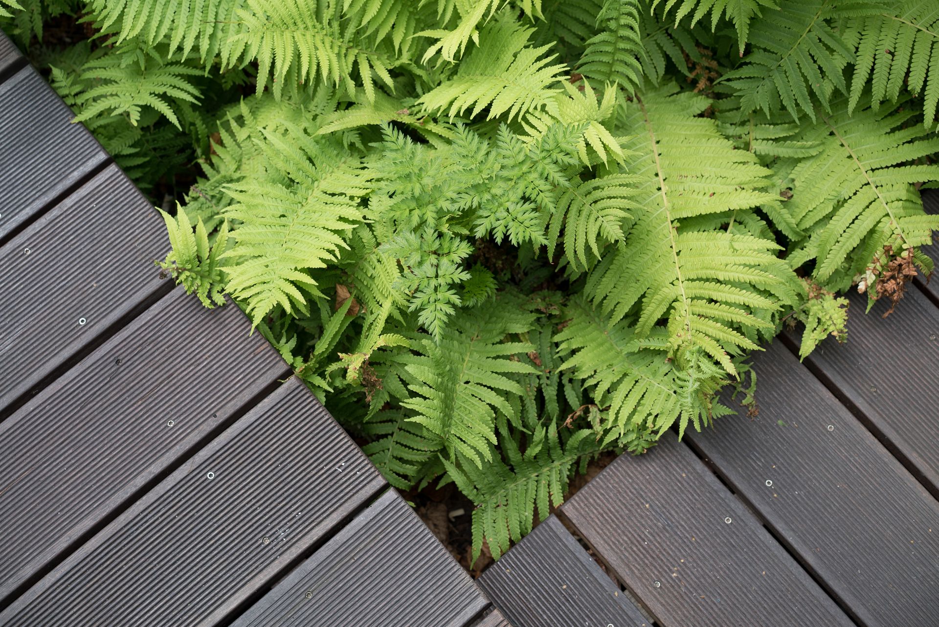Sony A7S - zdjęcia testowe do ISO 409 600 7