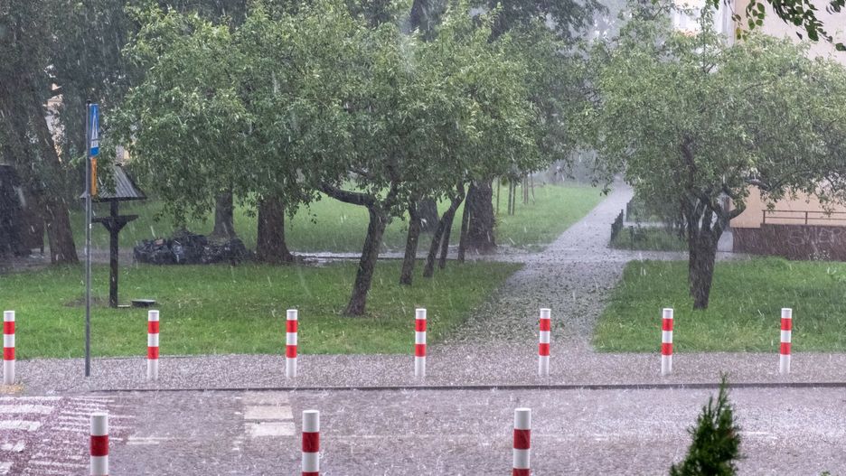 W środę 18 sierpnia w Gdańsku będzie chłodno, mokro i wietrznie
